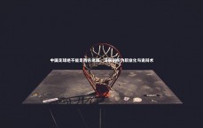 熊猫app官方网站：中国足球绝不能走西方老路，深层剖析伪职业化与诡辩术