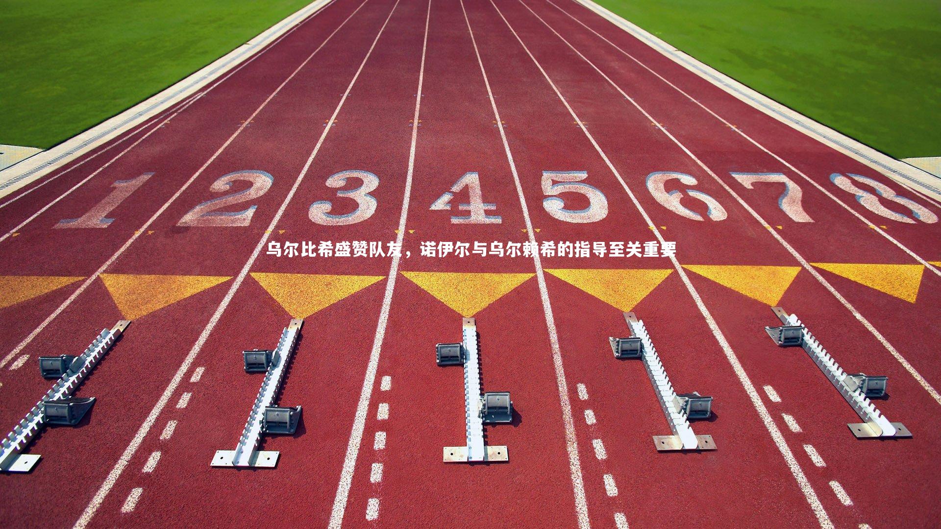 乌尔比希盛赞队友，诺伊尔与乌尔赖希的指导至关重要